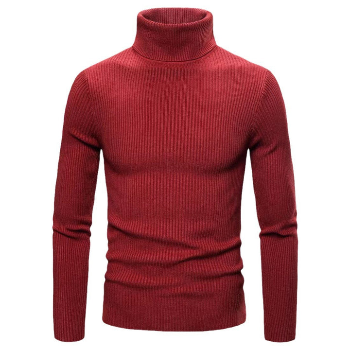 Men's fashionable turtleneck sweater made of fine ribbed structure Lisslune