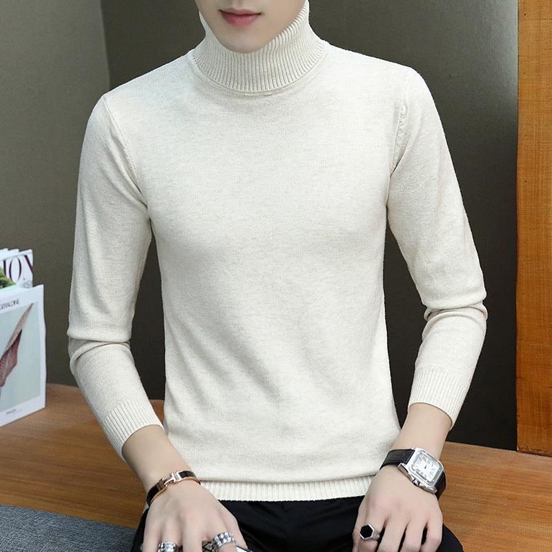 Men's stylish turtleneck sweater with fine structure Lisslune