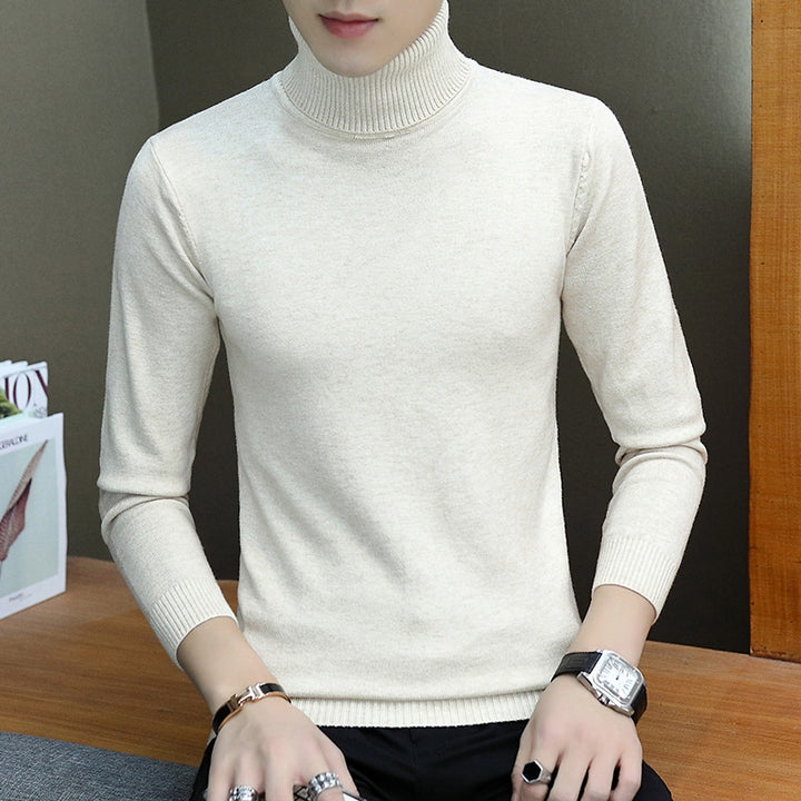 Men's stylish turtleneck sweater with fine structure Lisslune