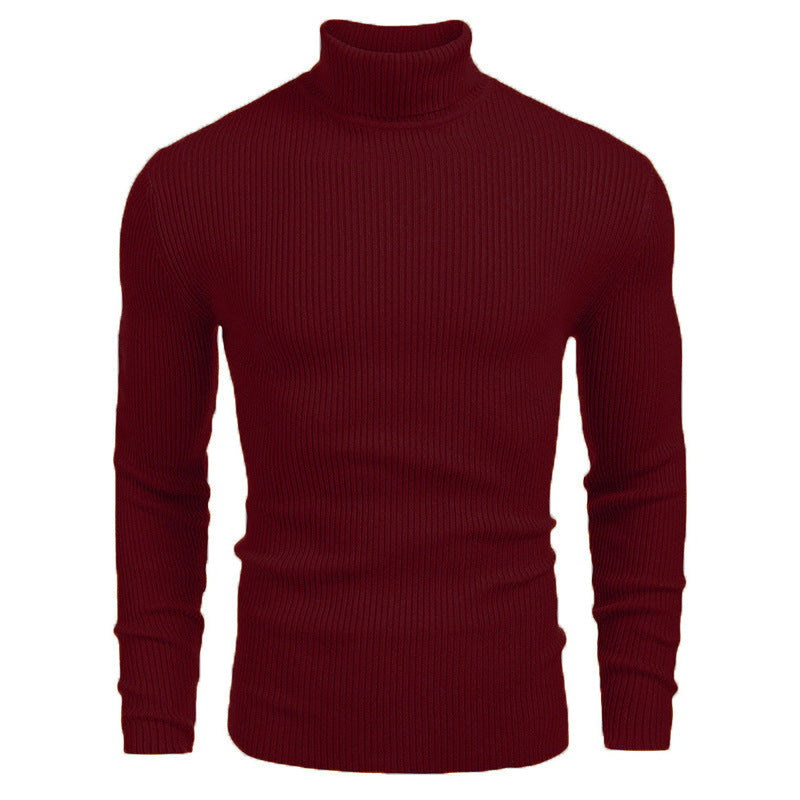 Men's turtleneck sweater made of fine rib knit Lisslune