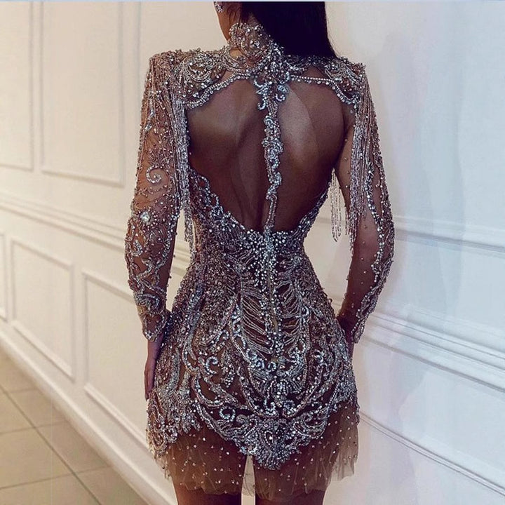 Ladies glamorous mini dress with sparkling sequins and exciting fringes Lisslune