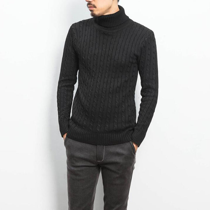 Men's comfortable turtleneck sweater with cable pattern Lisslune