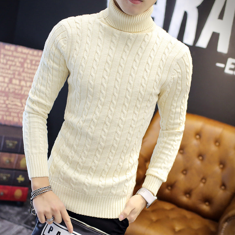 Men's comfortable turtleneck sweater with cable pattern Lisslune