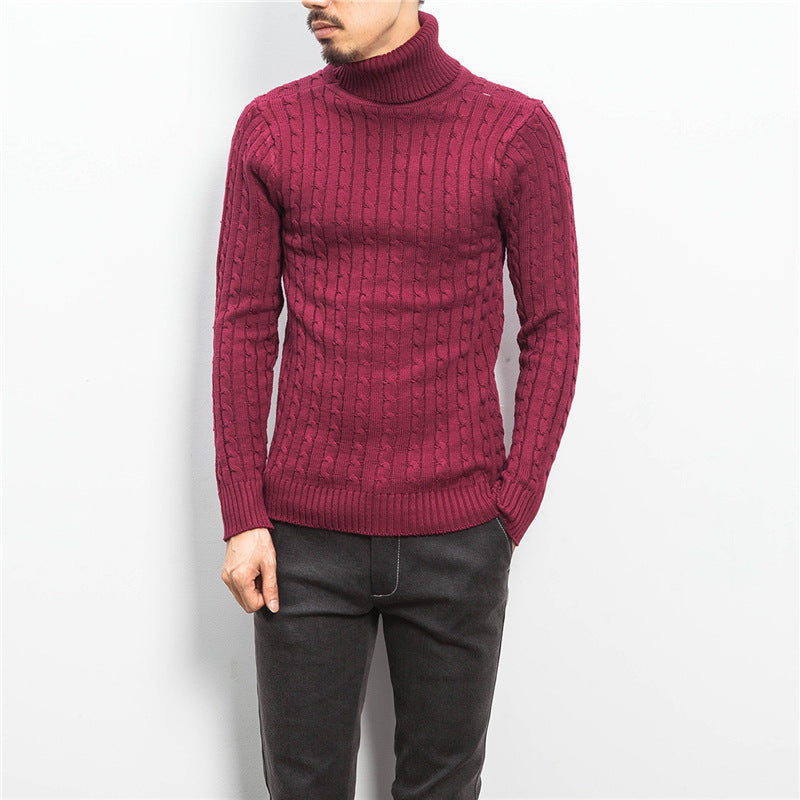 Men's comfortable turtleneck sweater with cable pattern Lisslune