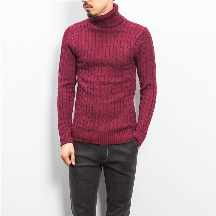 Men's comfortable turtleneck sweater with cable pattern Lisslune