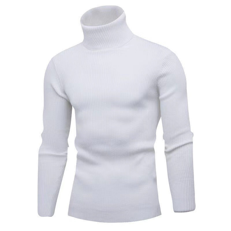 Men's high-quality turtleneck sweater made of fine rib knit Lisslune