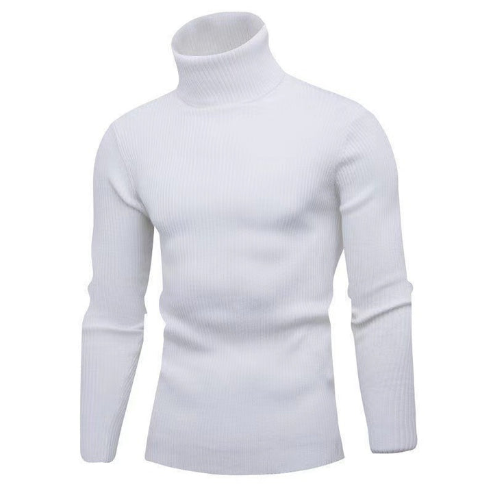 Men's high-quality turtleneck sweater made of fine rib knit Lisslune
