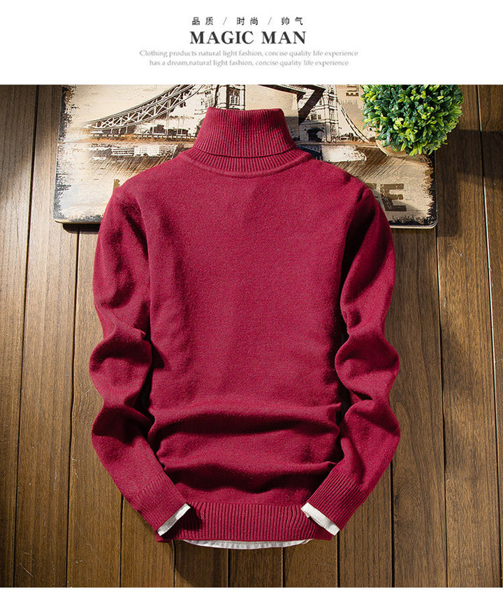 Men's fashionable turtleneck sweater made of fine merino wool Lisslune