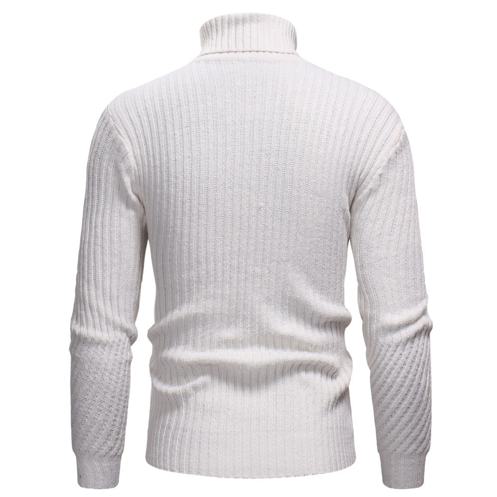 Men's high-quality turtleneck sweater in structured design Lisslune