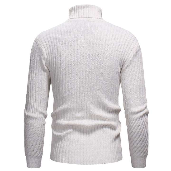 Men's high-quality turtleneck sweater in structured design Lisslune