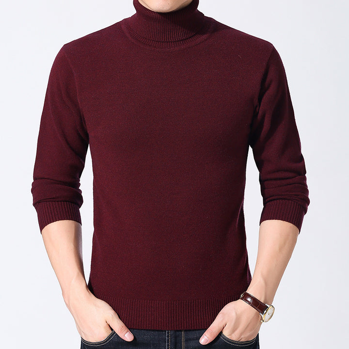 Men's Turtleneck Sweater Lisslune