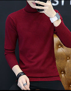Men's Elegant Turtleneck Sweater made of fine knit Lisslune