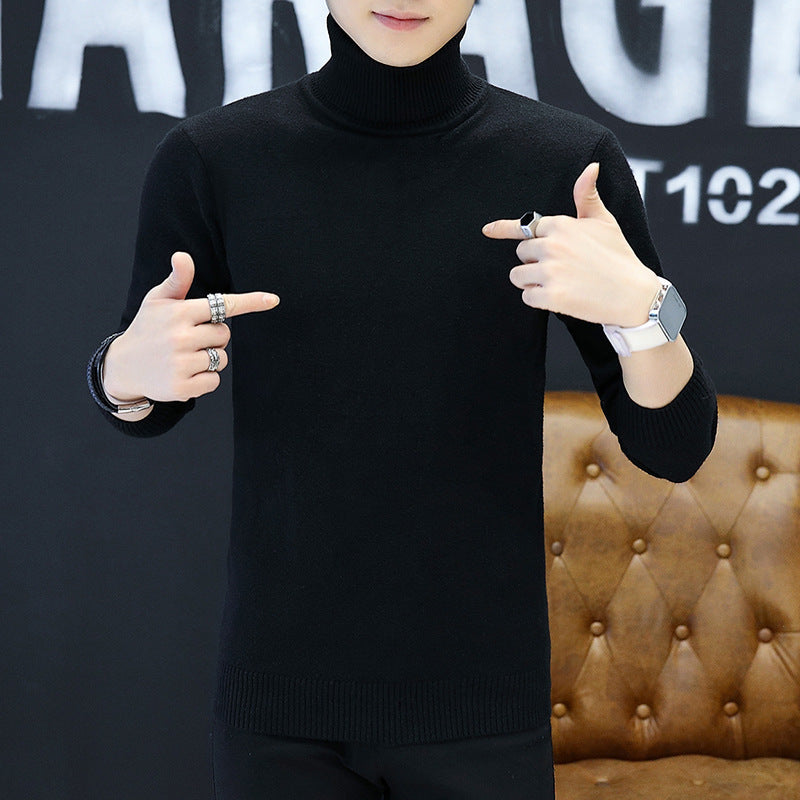 Men's stylish turtleneck sweater with fine structure Lisslune