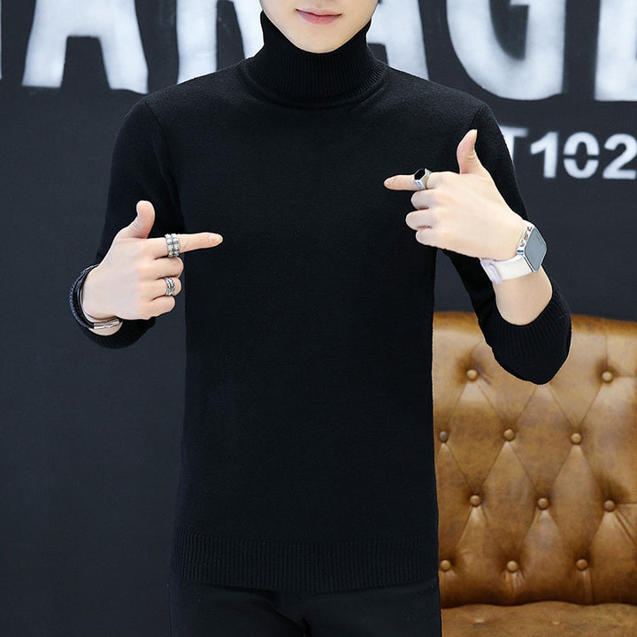 Men's stylish turtleneck sweater with fine structure Lisslune