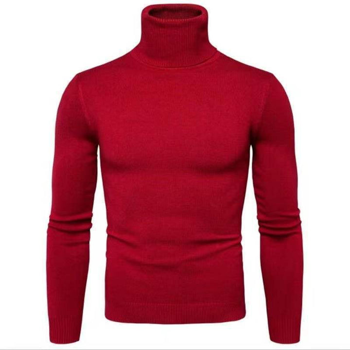 Men's turtleneck sweater made of fine cotton with a fitted cut Lisslune