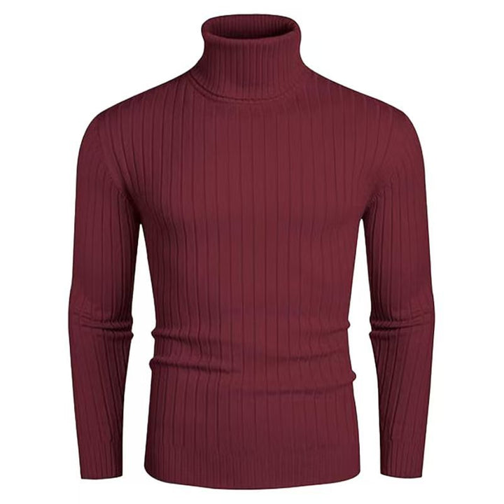 Men's High-Quality Roll Neck Sweater with Fine Rib Structure Lisslune