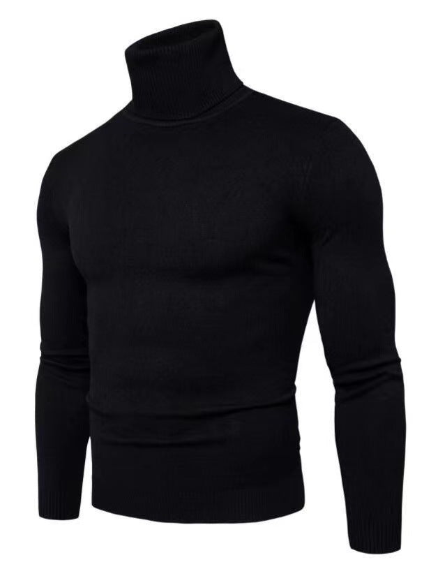Men's fashionable turtleneck sweater made of fine merino wool Lisslune