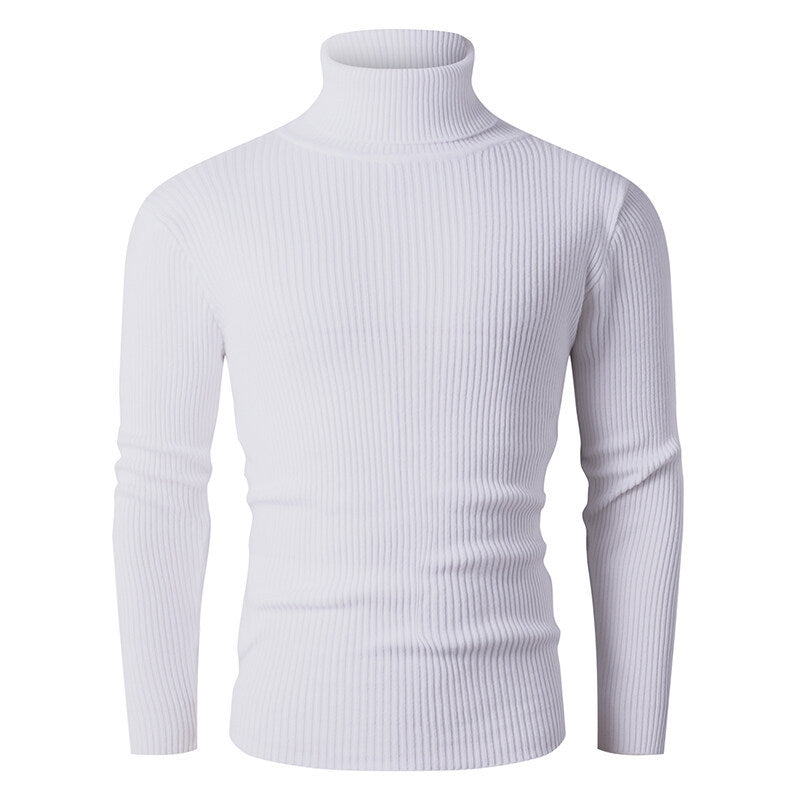 Men's ribbed knit turtleneck sweater Lisslune