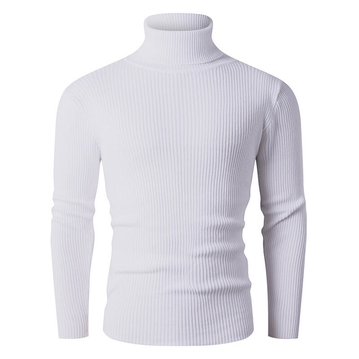 Men's ribbed knit turtleneck sweater Lisslune