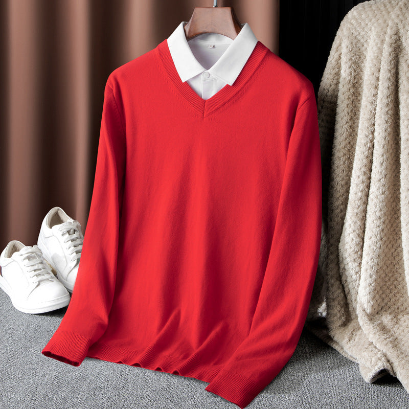 Men's Pullover with V-Neck and Fine Knit Structure Lisslune