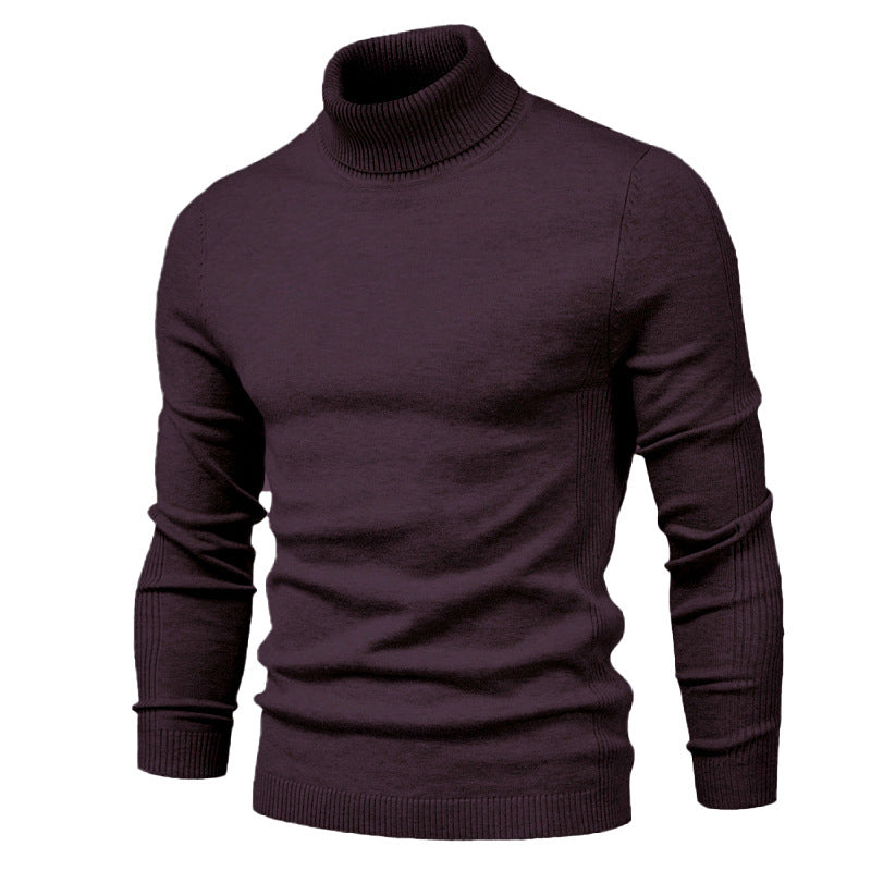 Men's chunky turtleneck sweater made of warming material with a textured surface Lisslune