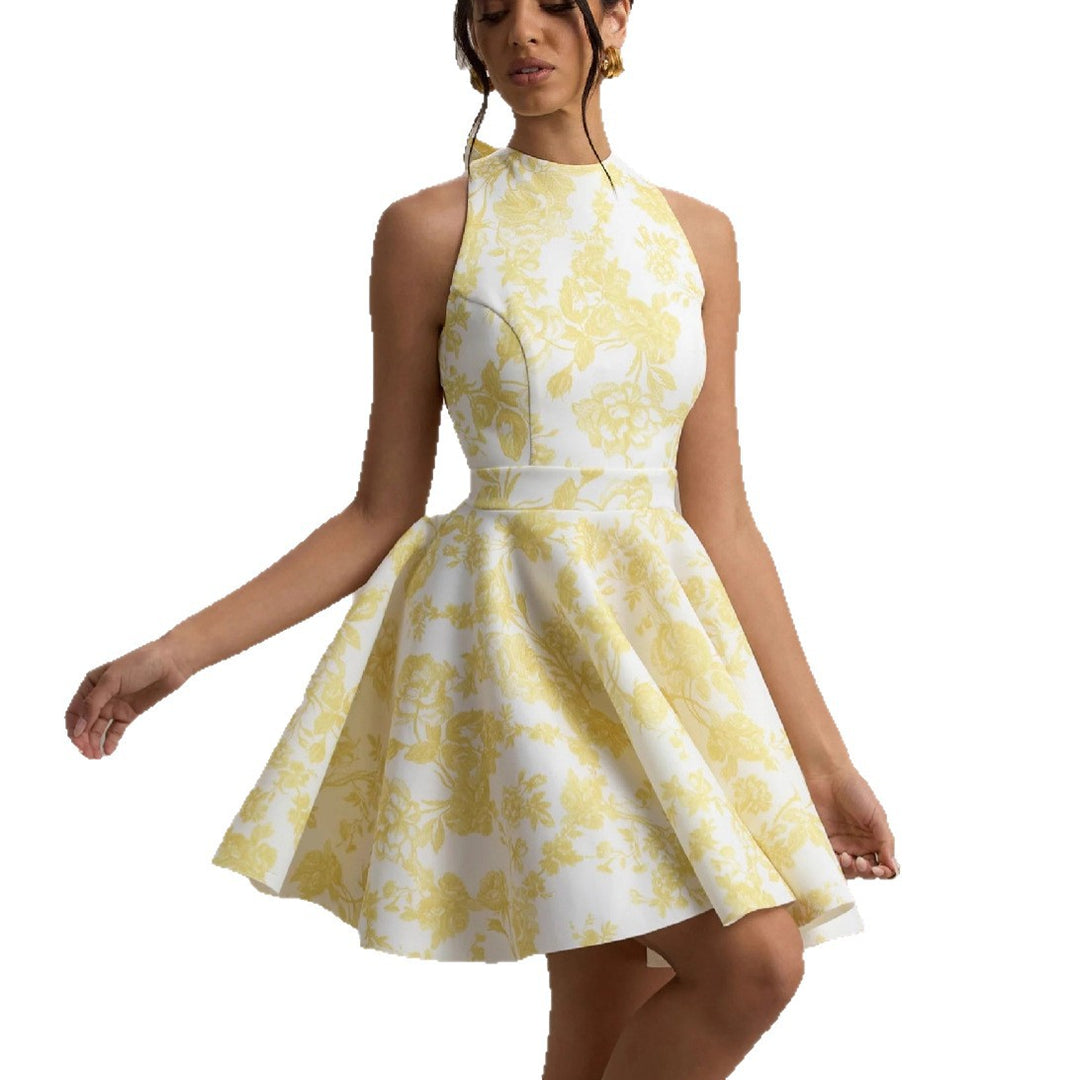 Women Playful fitted minimal dress with swinging skirt and half back view Lisslune