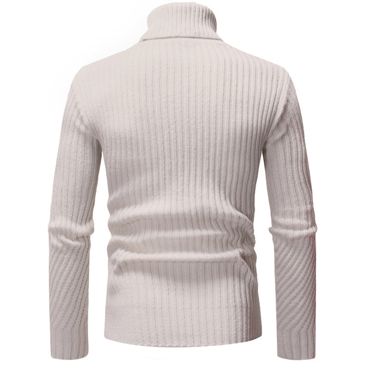 Men's Stylish Turtleneck Sweater with Textured Design Lisslune