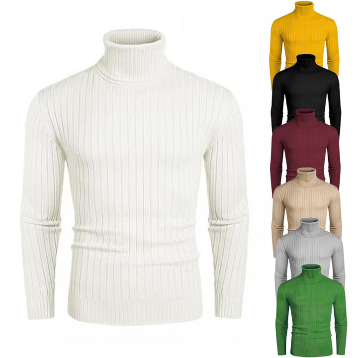 Men's High-Quality Roll Neck Sweater with Fine Rib Structure Lisslune