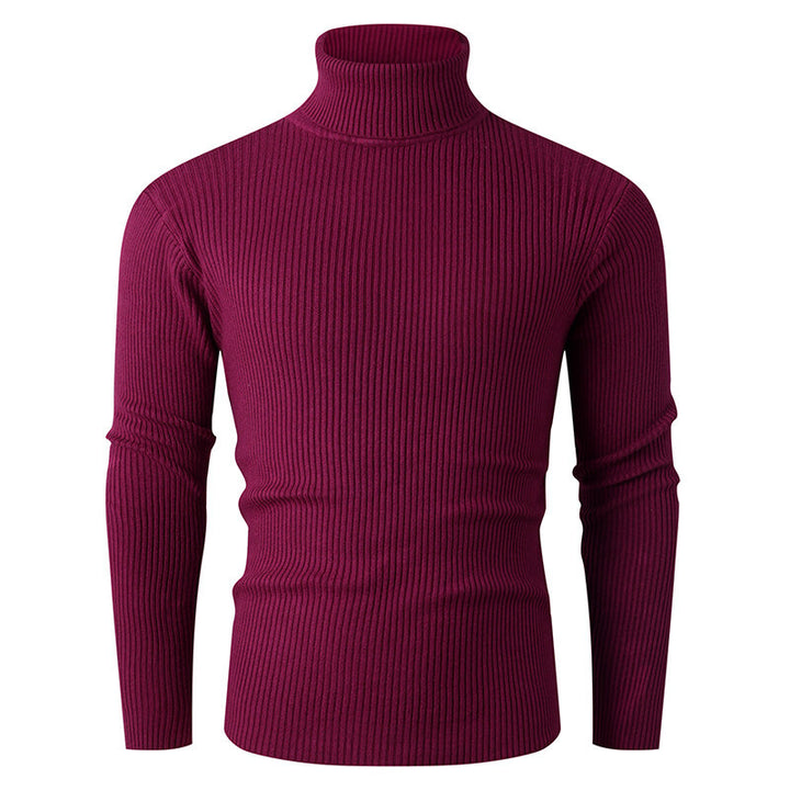Men's ribbed knit turtleneck sweater Lisslune