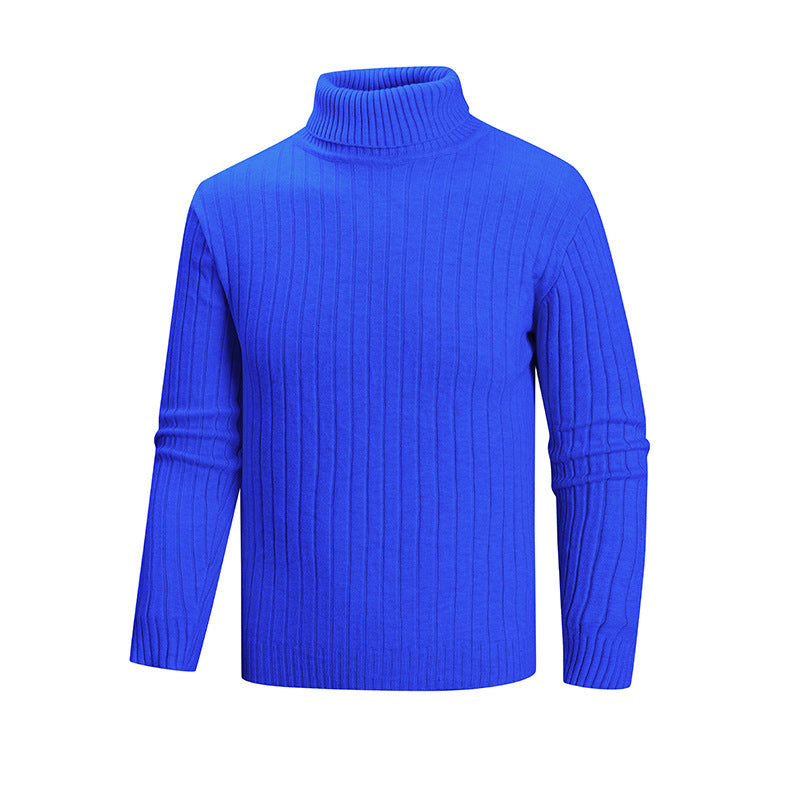 Men's elegant sweater with high collar and fine ribbed structure Lisslune