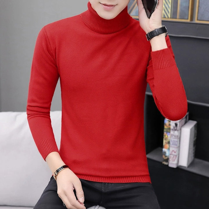Men's comfortable turtleneck sweater Lisslune
