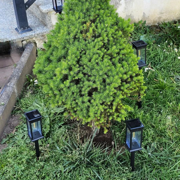 Lisslune | Wireless Solar Garden Lantern – GlowPath