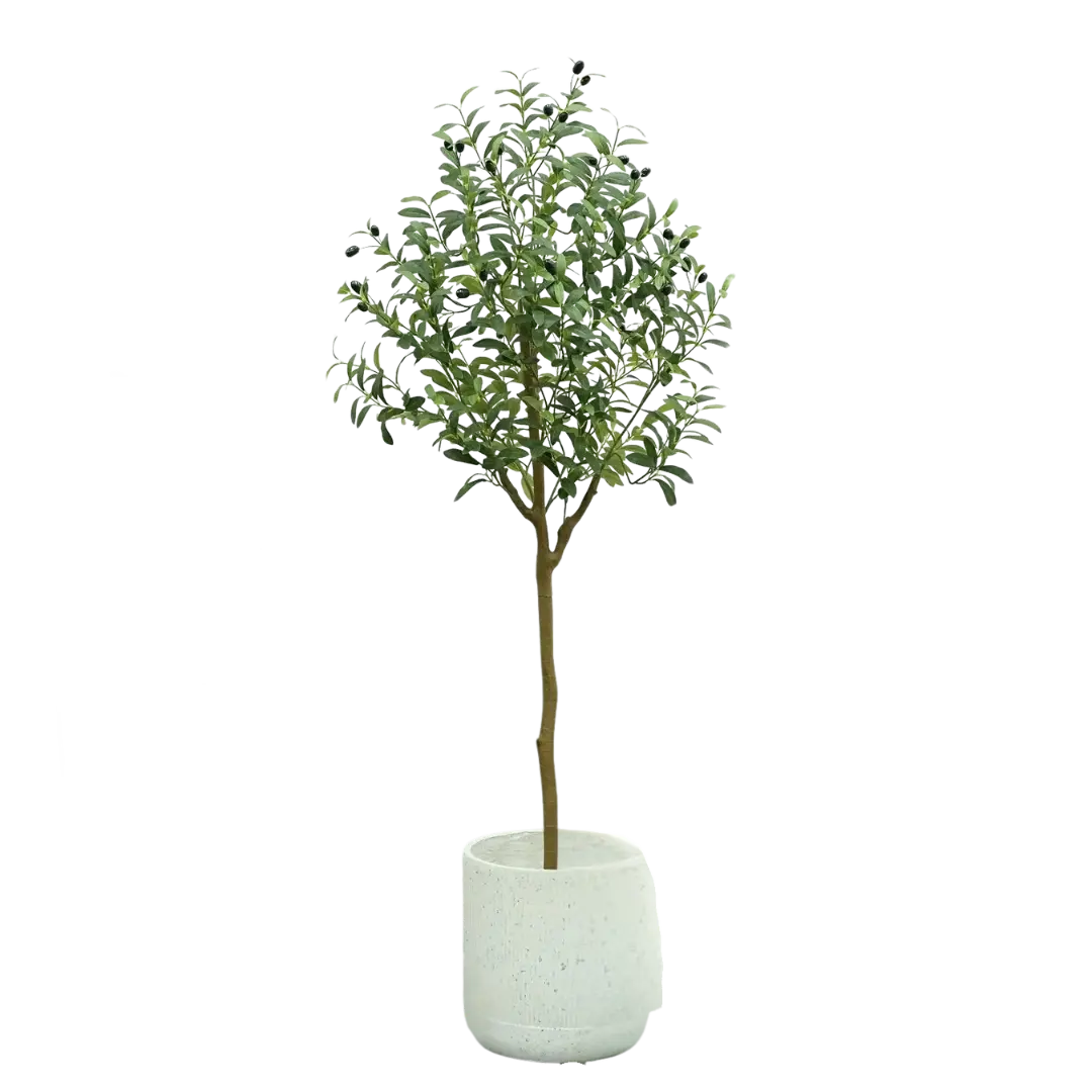 Lisslune | OlivaLeaf - Lifelike Olive Tree Decoration