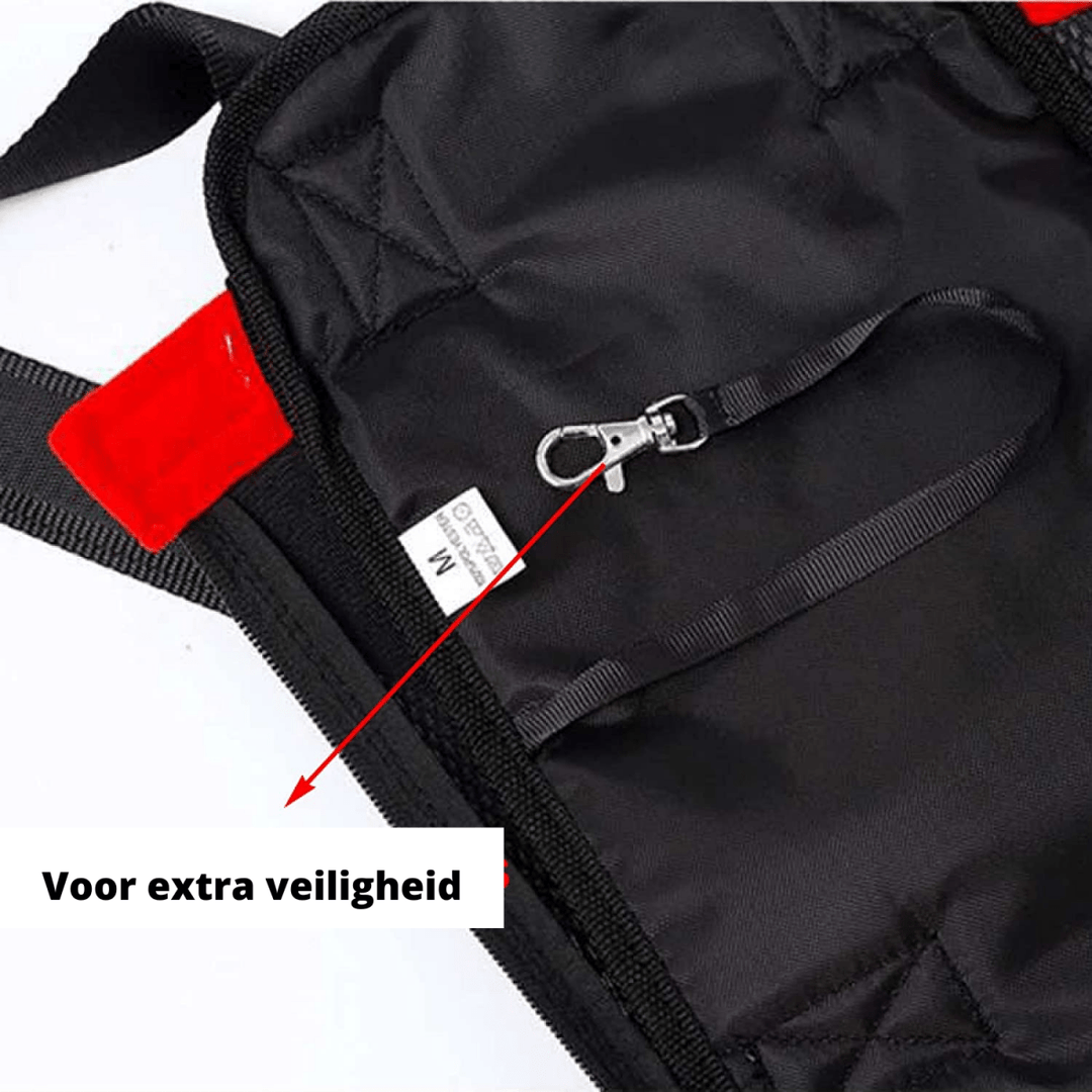 Lisslune | PETCARRIER – Carrier bag for dogs with safety strap & comfort padding