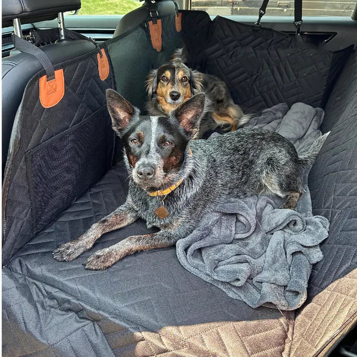 Lisslune | PawsGuard Back Seat Pet Cover – Waterproof Car Protector