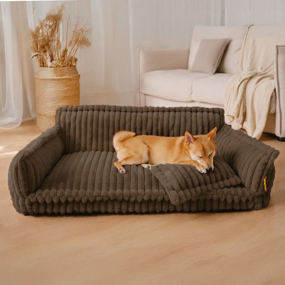 Lisslune | DreamPaw Orthopedic Dog Bed – Sturdy Sleeping Place with Neck Support and Removable Cover