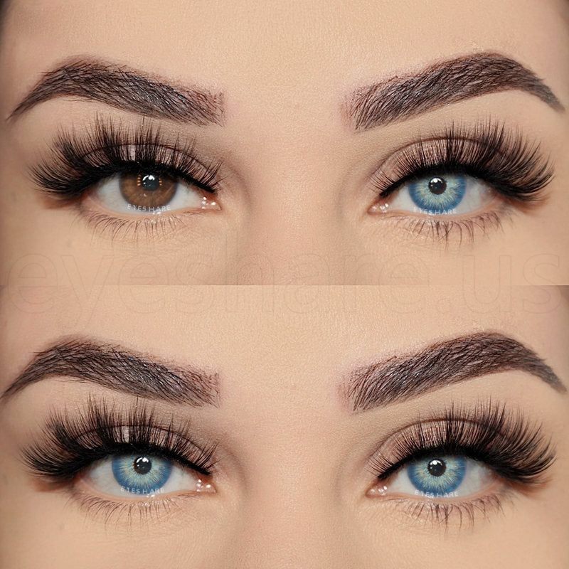 Rynx Pattaya Blue 14.2mm 1 Pair | 1 Year