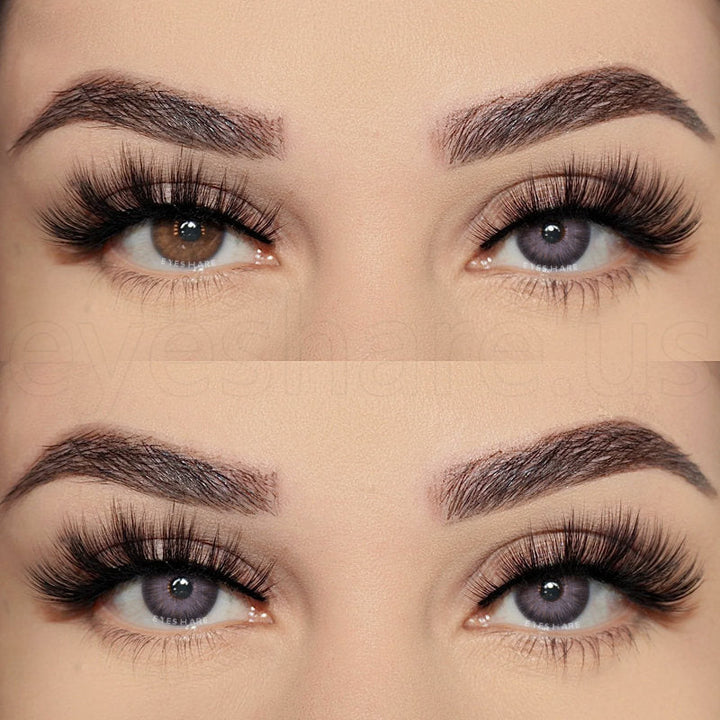 Rynx Pattaya Purple 14.2mm 1 Pair | 1 Year