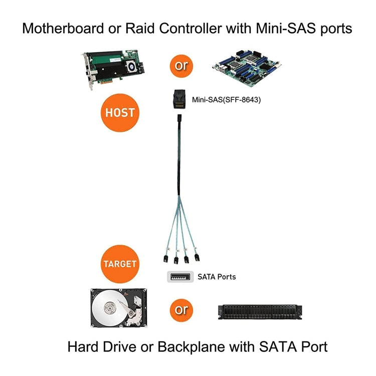 Lisslune | Mini SAS SFF-8643 Host to 7-Pin 4 SATA Target Hard Drive 6Gbps Data Server Raid Cable, Length: 1m