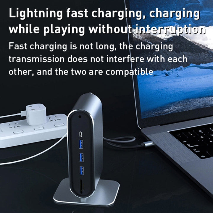 Lisslune | BYL-2201 12 in 1 USB-C / Type-C HUB Adapter