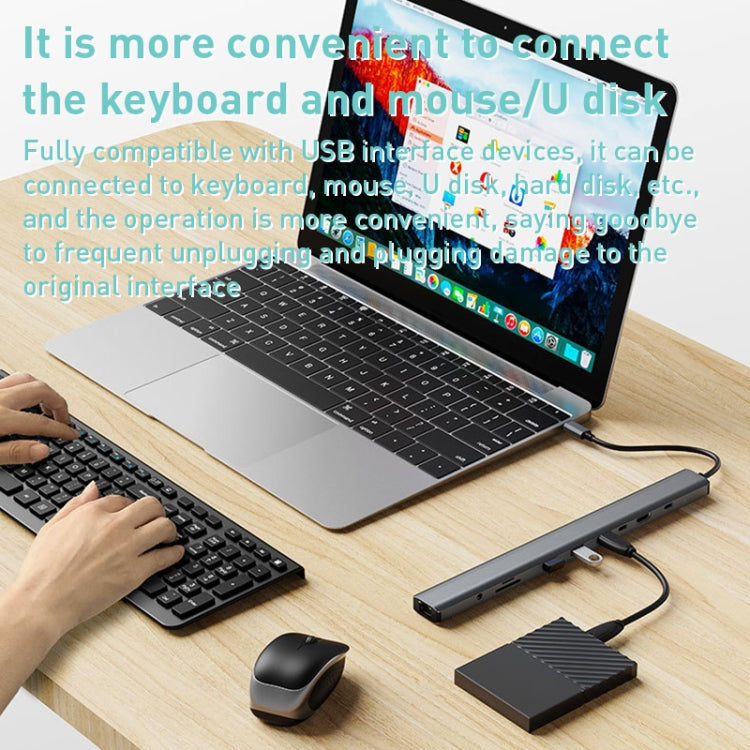 Lisslune | BYL-2212 10 in 1 USB-C / Type-C HUB Adapter