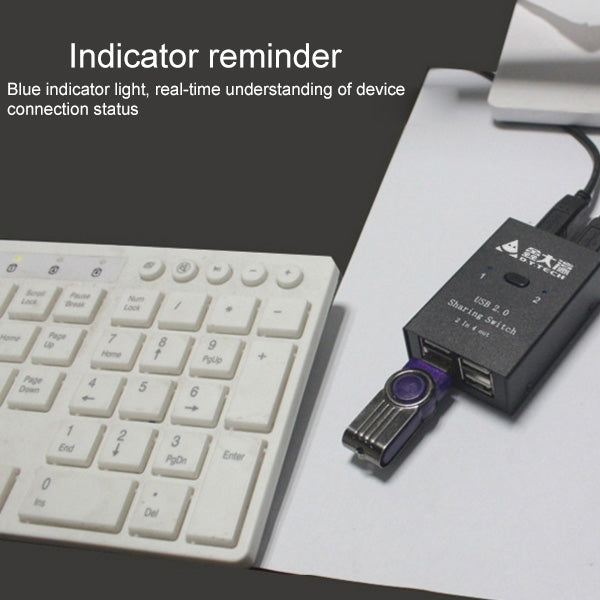 Lisslune | DY-B046 2 In 4 Out USB 2.0 Sharing Switch USB Flash Printer Adapter