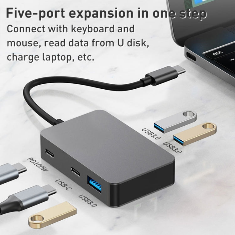 Lisslune | BYL-2316 5 in 1 USB-C / Type-C to USB3.0 & Type-C multifunctional docking station HUB adapter (Dark gray)