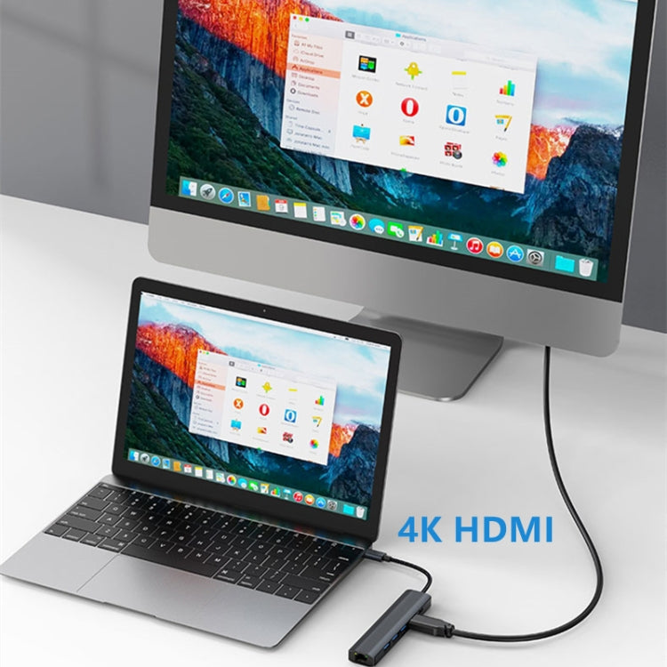 Lisslune | BYL-2210 6 in 1 USB-C / Type-C to USB Multifunctional Docking Station HUB Adapter with 1000M Network Connection