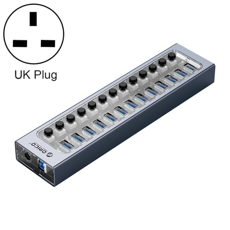 Lisslune | ORICO AT2U3-13AB-GY-BP 13 Ports USB 3.0 HUB with individual switches & blue LED display, UK plug