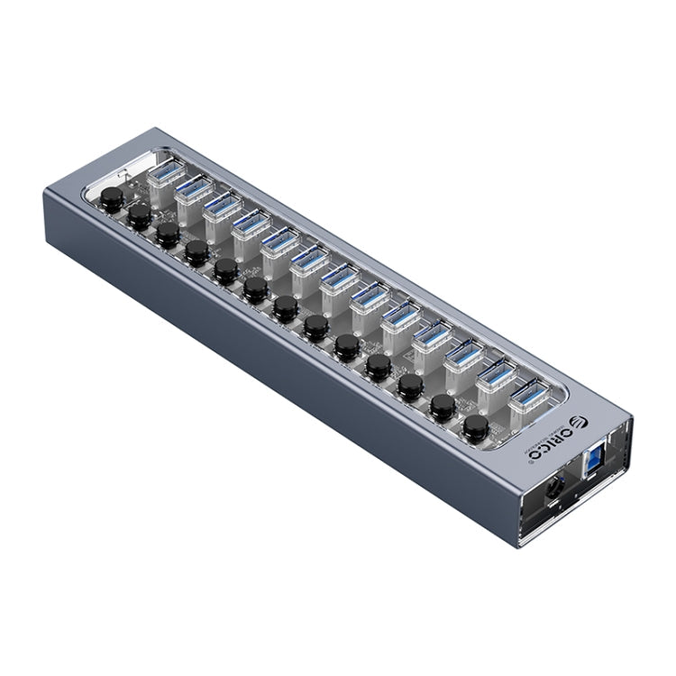 Lisslune | ORICO AT2U3-13AB-GY-BP 13 Ports USB 3.0 HUB with individual switches & blue LED display, US plug