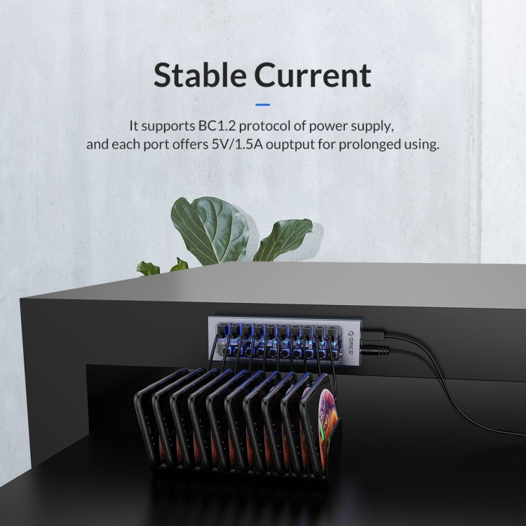 Lisslune | ORICO AT2U3-13AB-GY-BP 13 Ports USB 3.0 HUB with individual switches & blue LED display, US plug