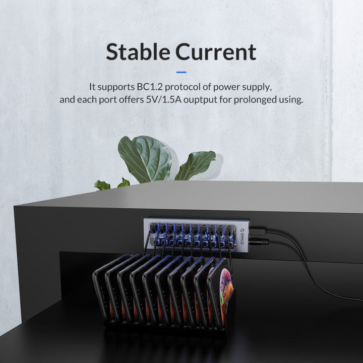 Lisslune | ORICO AT2U3-13AB-GY-BP 13 Ports USB 3.0 HUB with individual switches & blue LED display, AU plug