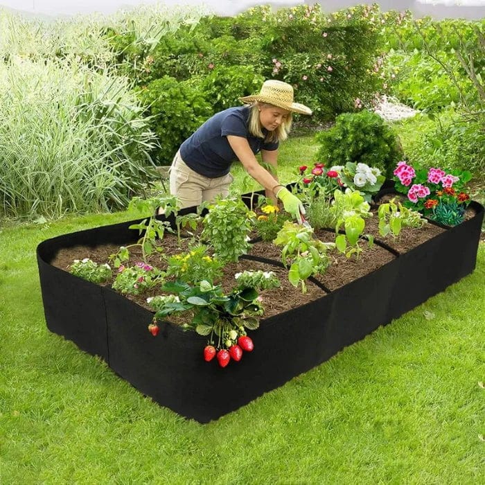 Lisslune | The Mini Vegetable Garden Organic - Grow Your Own Vegetables