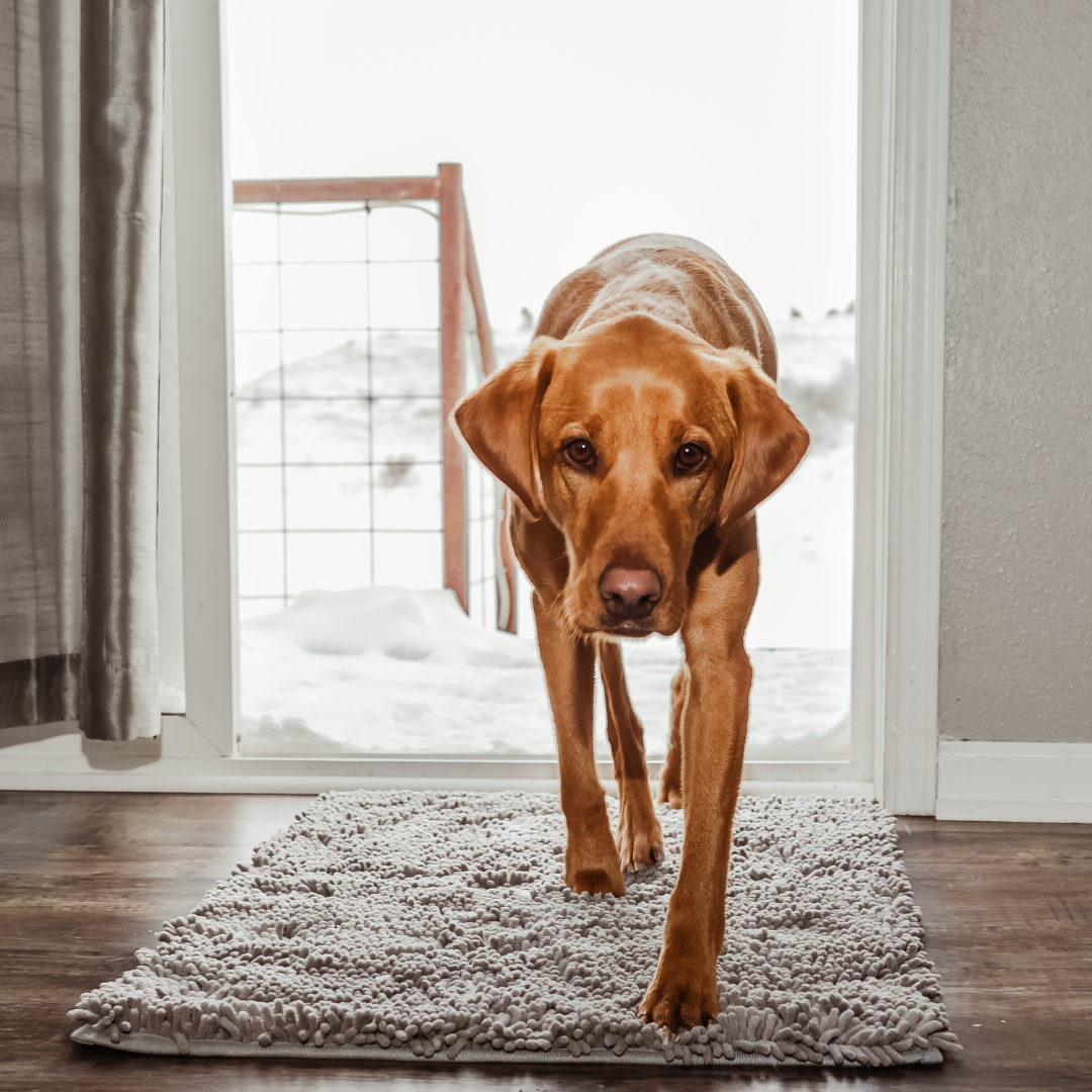 Lisslune | Joep Dog Door Mat – Super Absorbent Mat for Dirty Paws